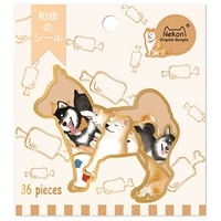 Сиба-ину типа D