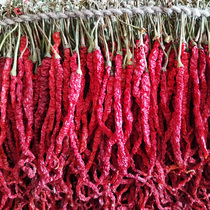 2021 Guizhou Dafang specialty Zou pepper dried seeds farm pepper long line pepper red pepper 500g