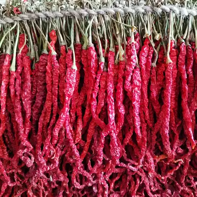 2021 Guizhou Dafang specialty Zou pepper dried seeds farm pepper long line pepper red pepper 500g