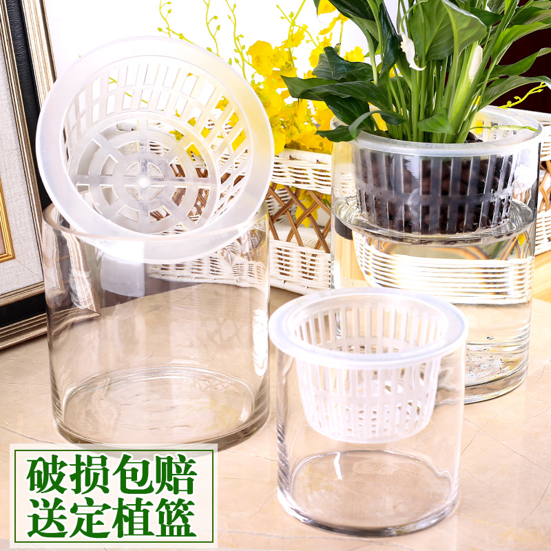 水培植物玻璃瓶 透明现代直筒圆柱形花瓶简约绿萝白掌 水培瓶子