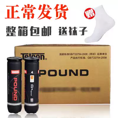 600 Tianlong POUND Tennis professional match ball Special P4 for national team training