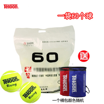  Tianlong Advanced Training Tennis 801 603 Resurrection Rising Ace Whole Bag of 60 Pack Practice Balls