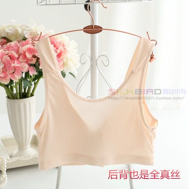 100% Mulberry Silk Knitted Silk Bra Wireless Sponge Sports ໃຫ້ນົມແມ່ Vest Front Button Bra