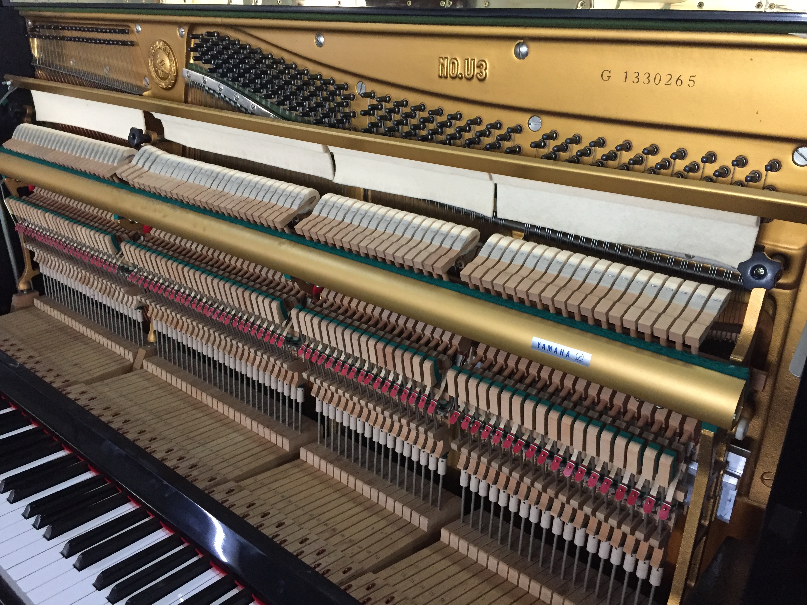 Yamaha nhập khẩu Yamaha sử dụng đàn piano YAMAHA U3G casio cdp s350