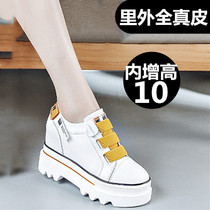 Real leather small white shoes female head layer of cow leather heightening 10CM Hong Kong spring autumn round head single shoe magic patch slopes with womens shoes