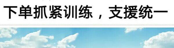 Bottes militaires - Ref 1399864 Image 19