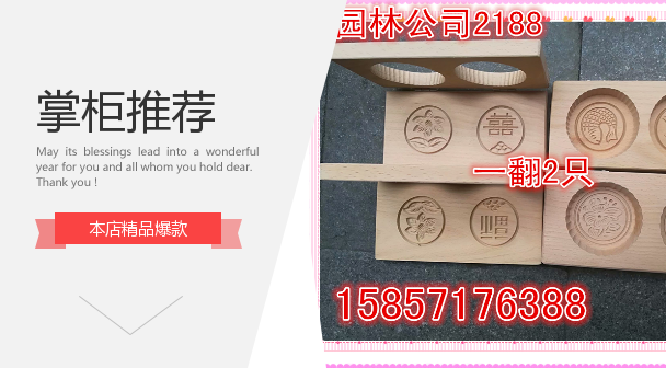 The thousand-year tortoise