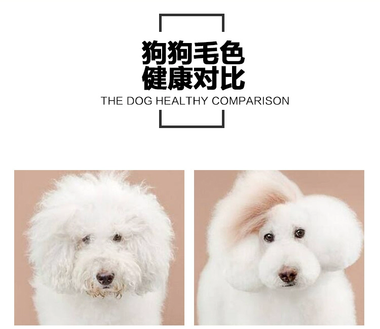 Chó ăn thức ăn 2,5kg Samoyed thông sư tử hơn gấu lớn gấu trắng bạc cáo chó trưởng thành chó con 5 pound vật nuôi - Chó Staples