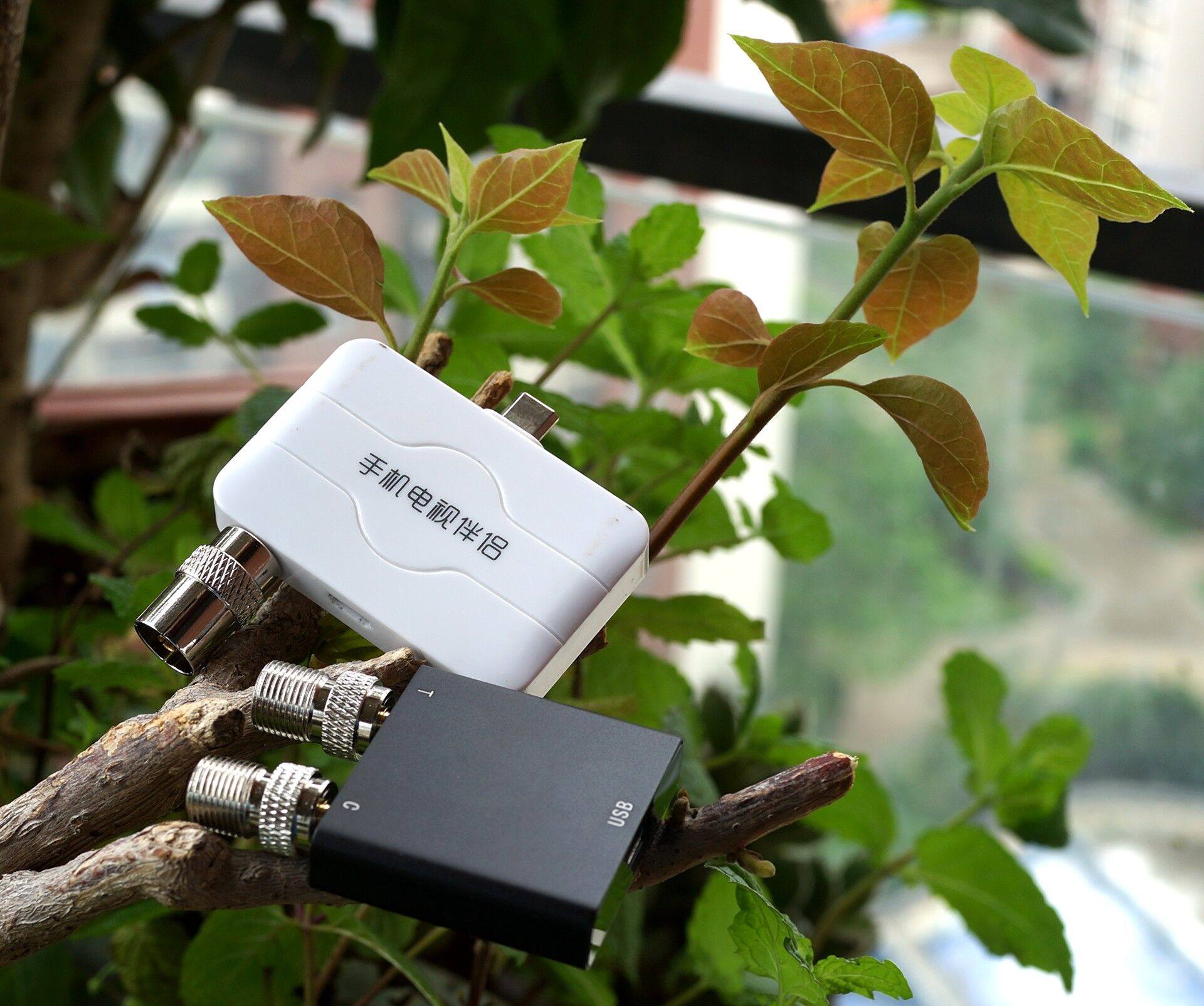 DTMB Handheld Mobile Digital TV Streamer Digital Cable Android Box WIN Synology Hong Kong Macau