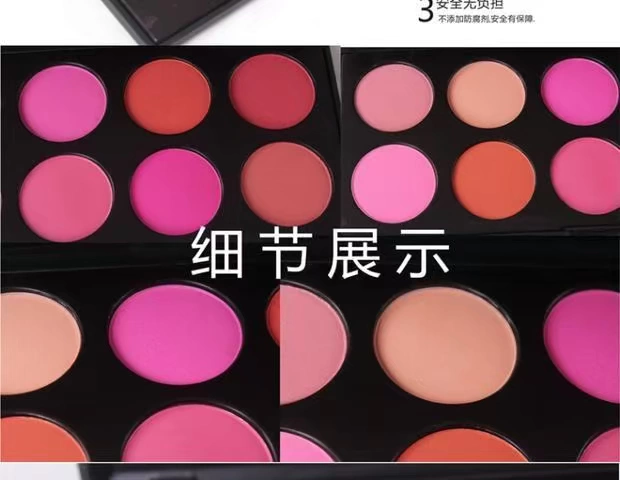 Bộ phấn trang điểm chuyên nghiệp 10 màu Rouge Pink Pink Red Orange Orange Orange Red Makeup Set chính hãng