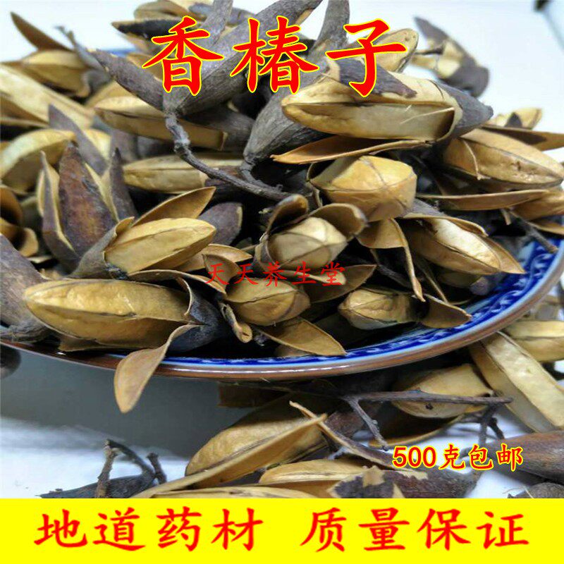 Chinese medicinal medicine scent tree seed fragrance scented spring 500g