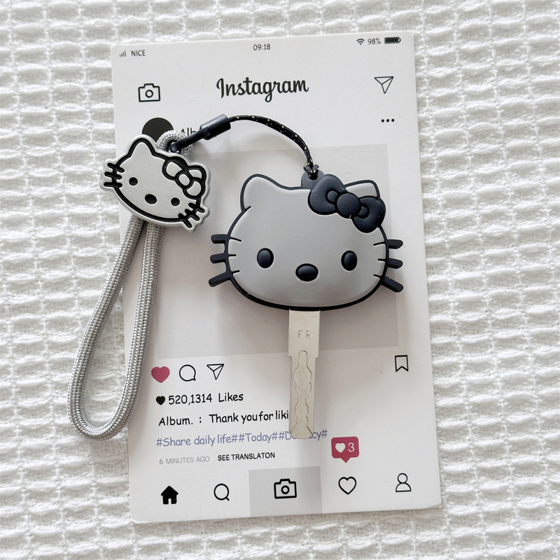 Key Cover Keychain Pendant Cute Cartoon Household Water Drop Key Protection Case Storage Cover for Electric Vehicle Keys