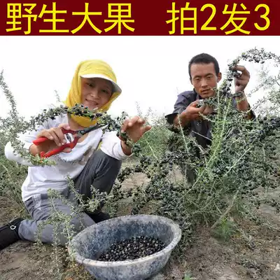 (2 hair 3) Qinghai Wild Black wolfberry big fruit Nuomuhong selection black qaidamu 50g