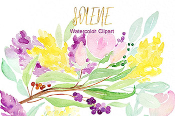 精致的水彩花卉logo设计 Soft pinkWatercolor flowers