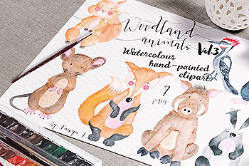 森林动物插画 Woodland animals Vol.3 Set