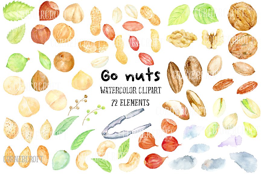 水彩坚果矢量插图 Watercolor Nuts Illustration设计素材模板