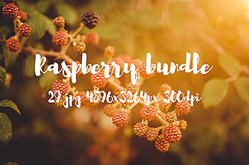 清新自然树莓高清图片素材 Raspberry photo pack