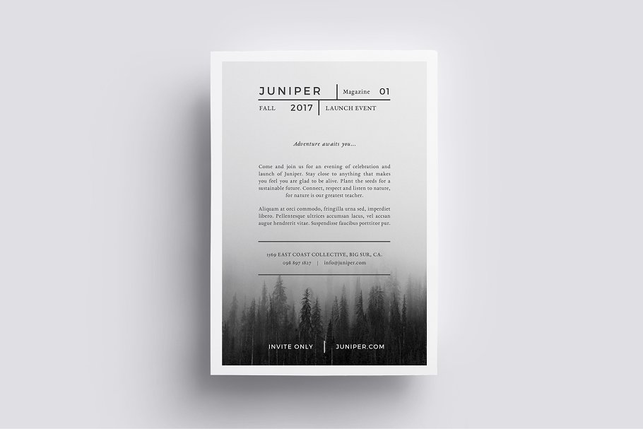 海报模板极简主义设计 J U N I P E R Flyer Template设计素材模板