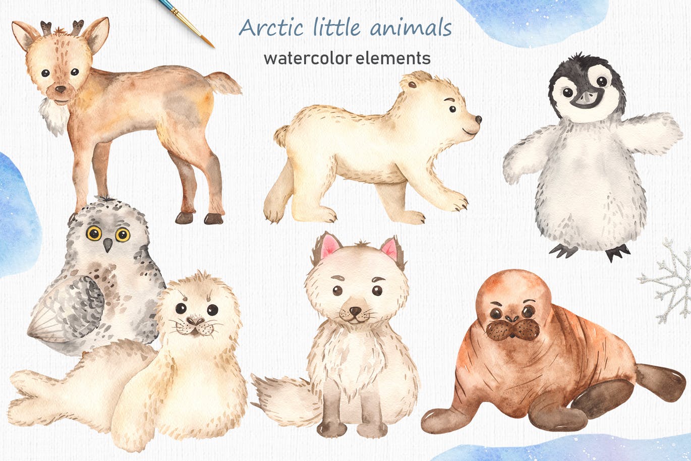 北极小动物水彩手绘剪贴画＆卡片素材 Watercolor Arctic little animals Clipart cards设计素材模板