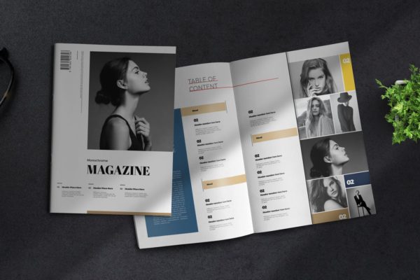 明星杂志/时尚摄影杂志设计模板 Monochrome | Magazine Template