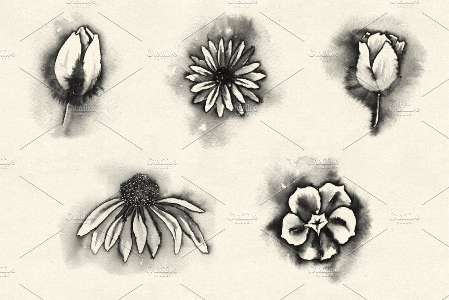 水彩花卉笔刷包 Watercolor Flowers Brush Pack 1设计素材模板