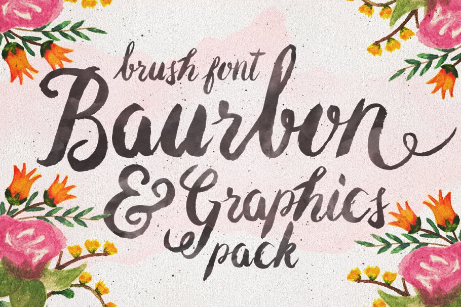 手写字体花卉图案 Baurbon and Graphics pack设计素材模板