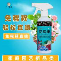 Flower Disease Conplant Flower Universal Flower Disease Conn Free Dilution Direct Spray Type Family Gardening Antibacterial Active Agent
