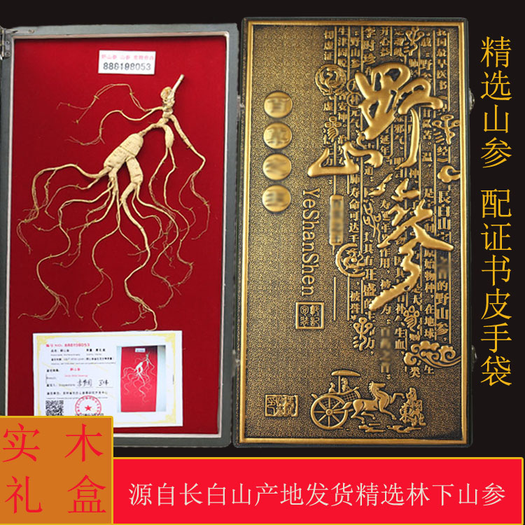 Northeastern Changbai Mountain Mountain Mountain Mountain Ginseng Forest Under Forest Raw Sun Ginseng Gift Box Jilin Moving Mountain Ginseng Wood Box Gift Box Gift Gift Box Gift Box Gift Box Gift Box Gift