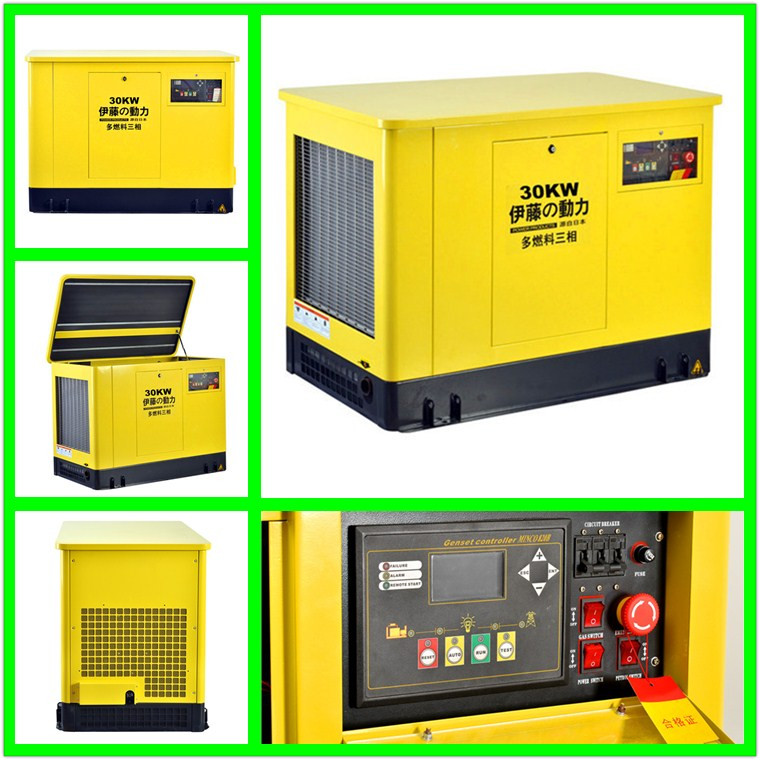 Shanghai Ivy Power 30 KW KVA KW Gas liquefied multi-fuel generator set YT30REP