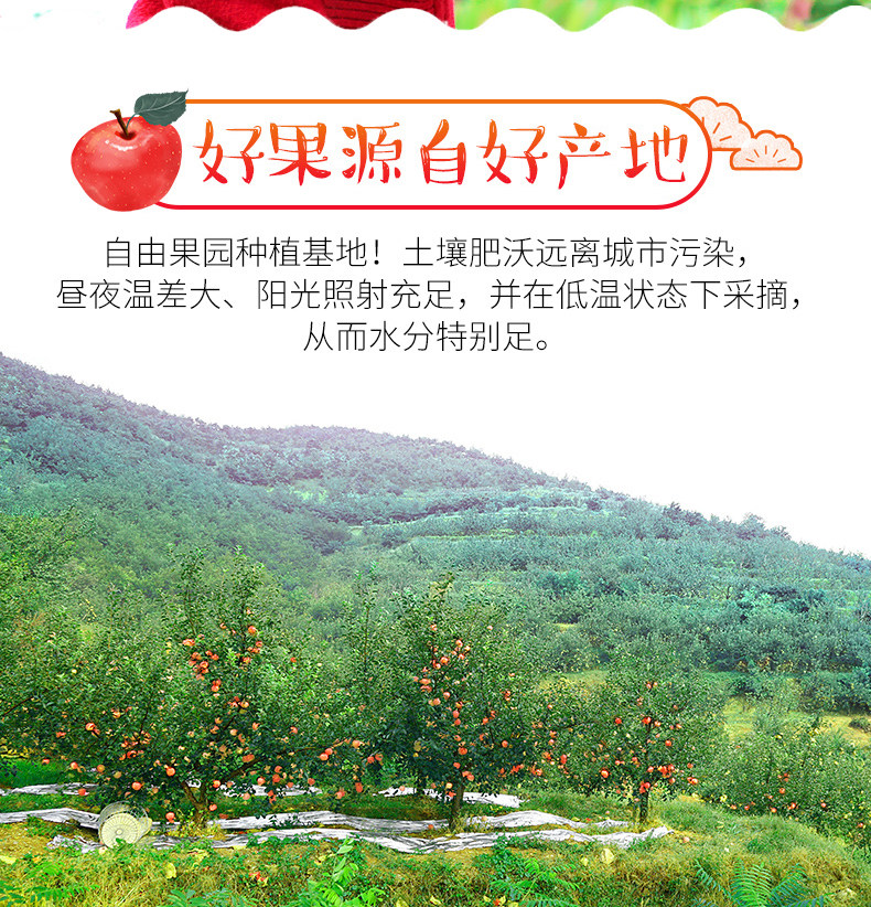 福瑞达 陕西现摘冰糖心红富士 净重10斤 图1