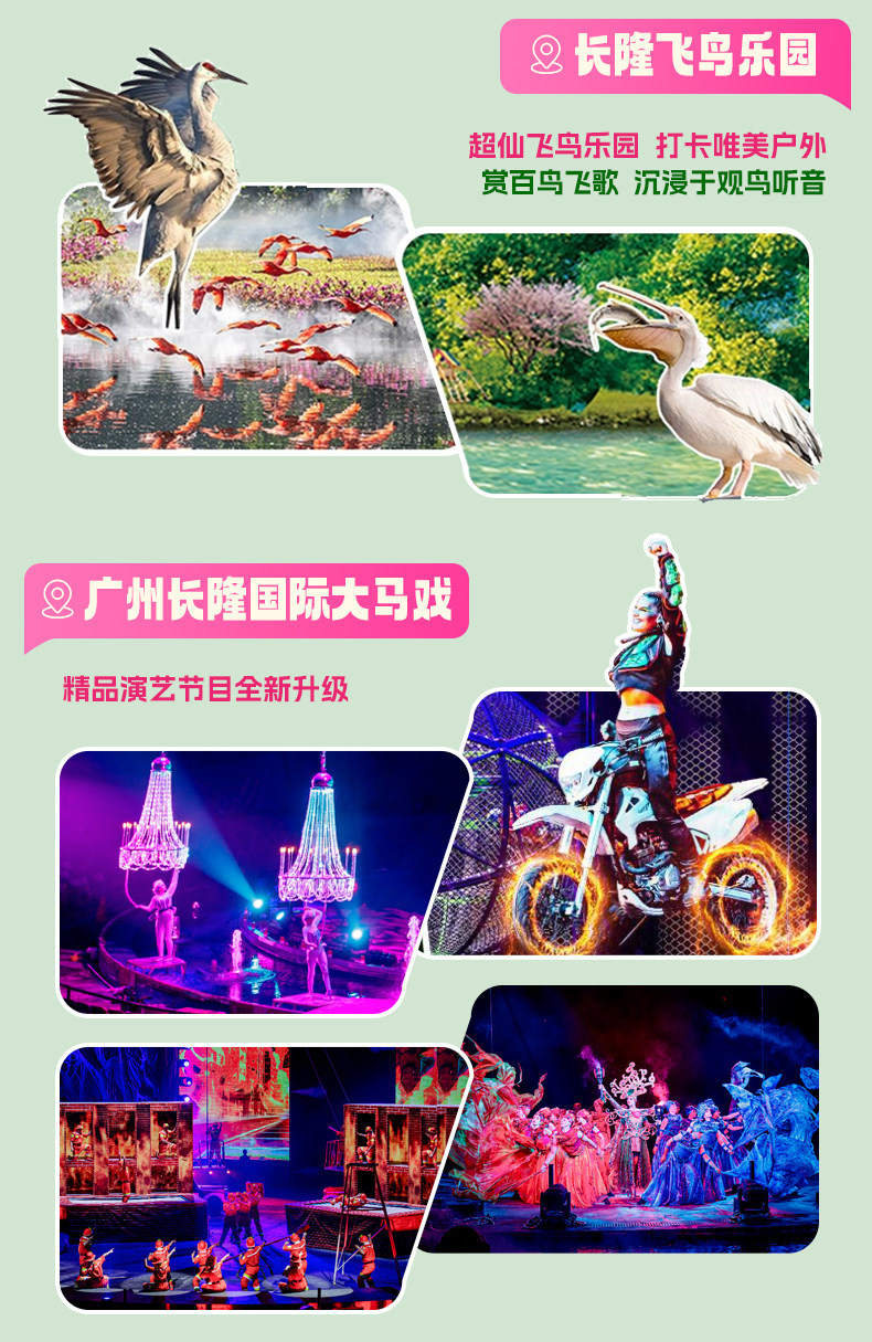 【免费享早餐】广州长隆2天1晚无限畅玩动物世界水上乐园欢乐世界飞鸟乐园可选大马戏-旅游度假-飞猪