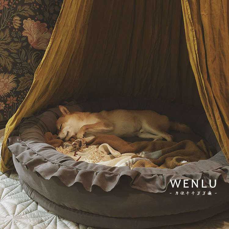 Ask the road) There is a cloud of rain made in the wind) Circular dog cohorts of cats and dogs Labrador autumnines