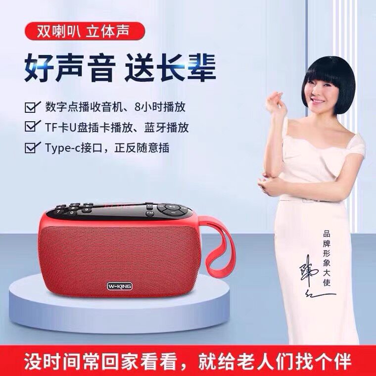 Weirjing X2 wireless bluetooth speaker radio large volume mini small audio dual speakers portable card