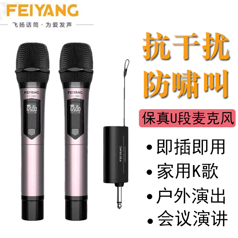 Feiyang Universal Microphone Wireless General Receiver Household Singing One Drag Two Outdoor Song K Song Professional