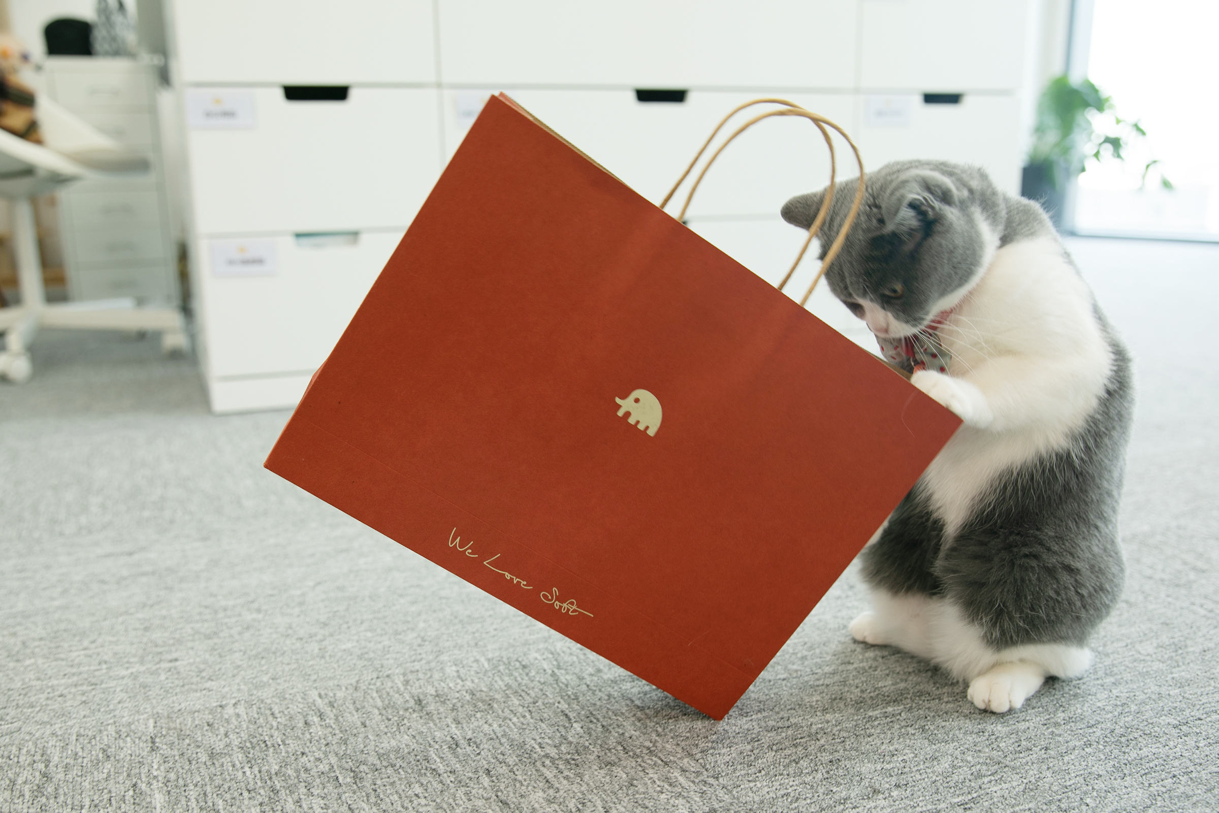 商品详情图片 6