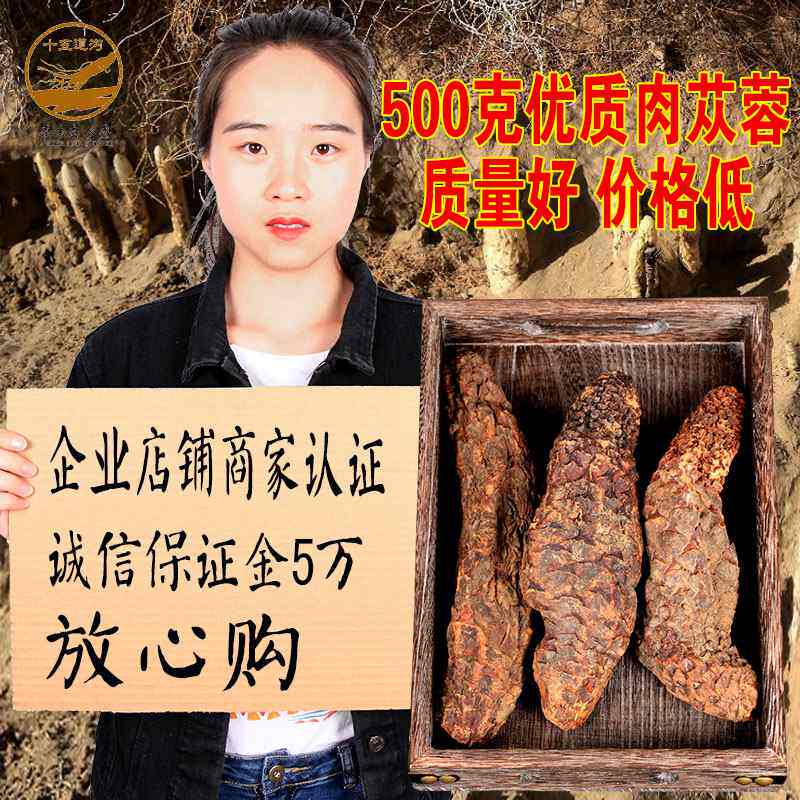 500g of Cistanche, Inner Mongolia Cistanche, Suoyang Epimedium, male nourishment, wine, tea, fresh dried slices