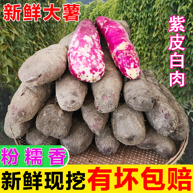 Big potato foot plate potato purple Huai yam is now digging agricultural products specialty purple big potato farm hairy potato fresh vegetables 3 5 catties