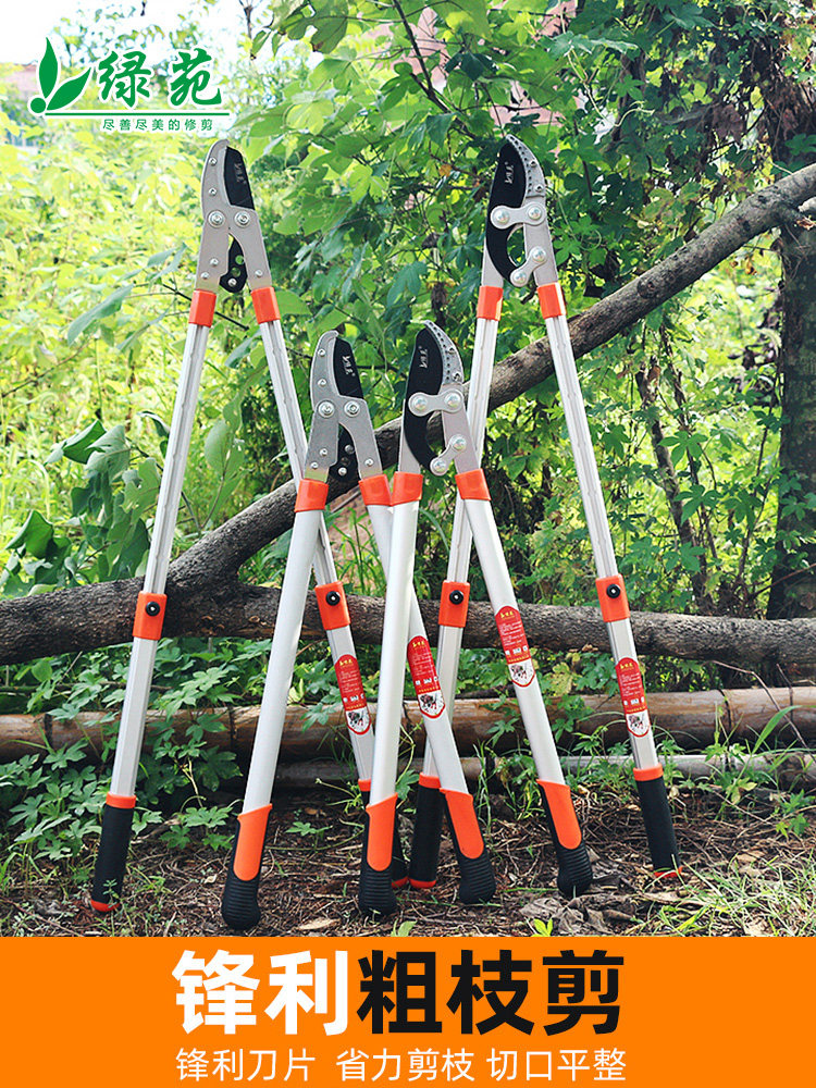 Pruning branches Garden fruit trees Scissors Pruning scissors Thick branch scissors Strong shear labor-saving gardening tools Flower scissors large and strong