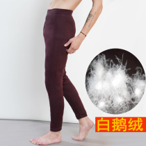 Winter high-bomb down pants men wear tight-fitting and thick-fitting young white goose down middle-aged and elderly bottoming warm cotton pants