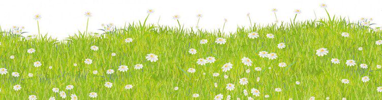 Accessoire coiffure en autre - Ref 1201628 Image 20