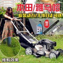 Yamaha Honda gasoline lawn machine four-stroke lawn mower self-propelled hand push lawnmower multifunctional weeder