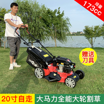 Scutongxin gasoline lawn mower four-stroke lawn machine hand push self-propelled small household grass cutter