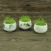 Đầy đủ búp bê đầu cỏ nhỏ Phong cảnh bông tuyết men trắng sứ Xiahe Máy tính để bàn mini chậu trang trí quà tặng - Trang trí nội thất Trang trí nội thất