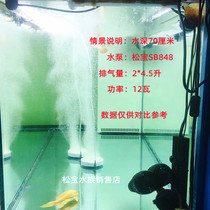 Fish tank Air pump Oxygen increase plate Oxygen nano-refinement atomization steam plate accessories Bubble stone bread sand coil