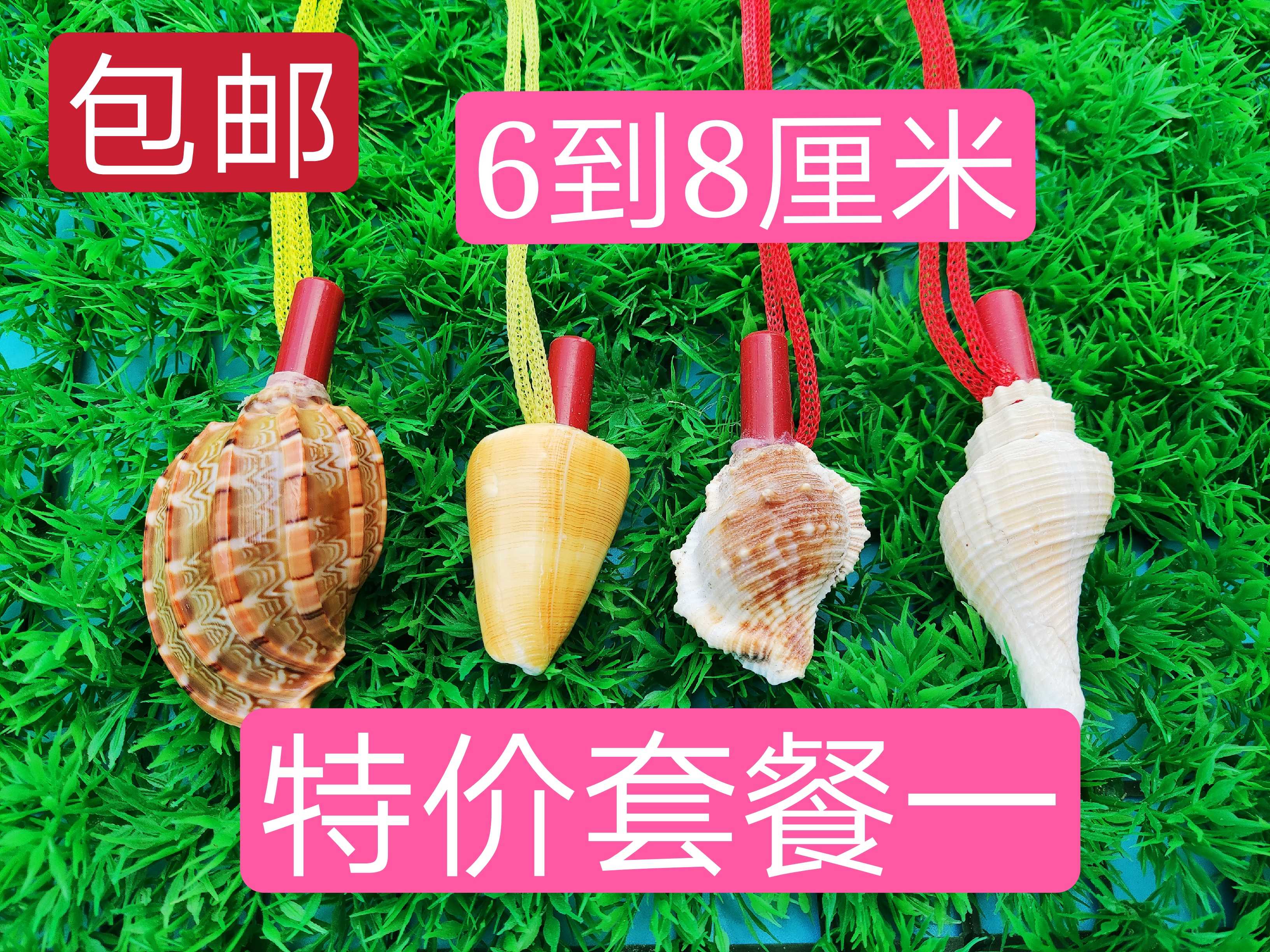 Natural conch horn can blow small conch oversized conch craft gift decoration conch whistle children's toy horn