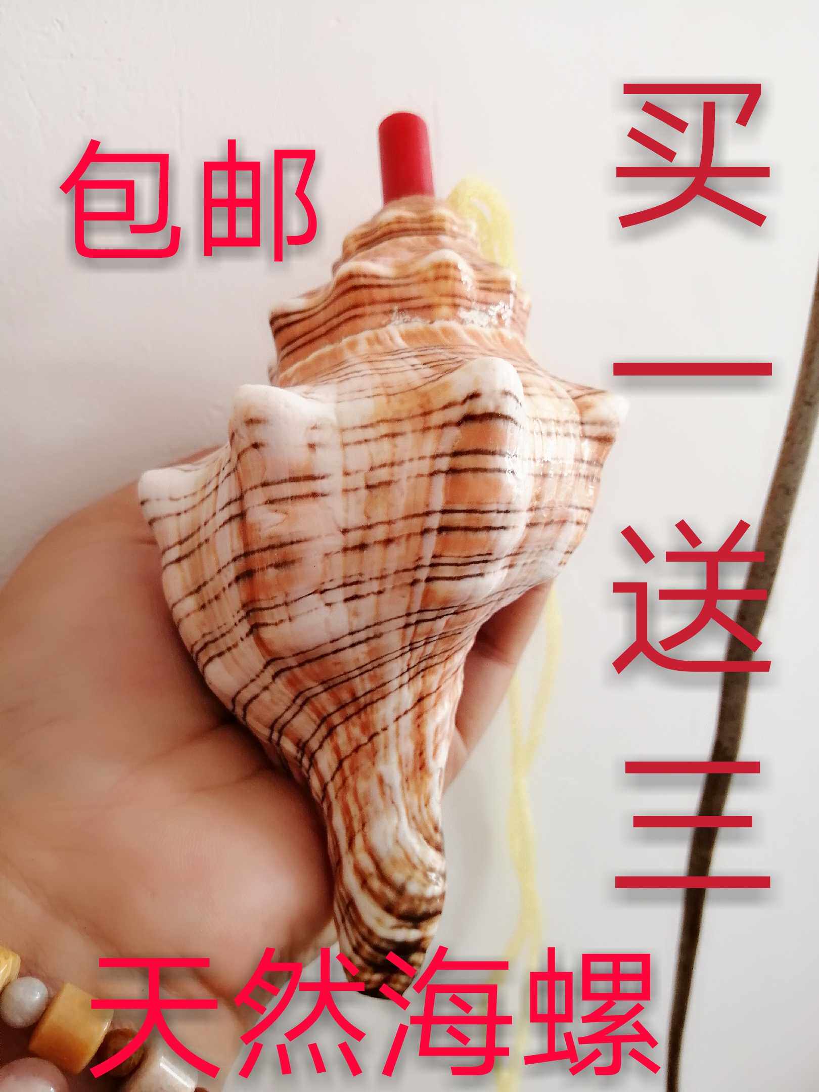 Natural Sea Snail whistle Grand sea snail horn Horn Sea Snail Shell Craft Gift Pendulum Creative Gift Children Toy Number Corner