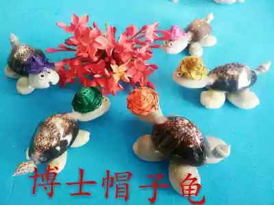 Natural shell conch craft gift decoration Dr little turtle straw hat turtle stall hot sale tourist souvenir small pendant