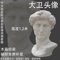 Davids head 1 2 meters