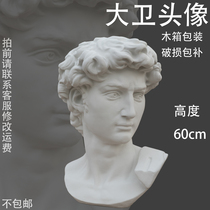 David head David 60cm David with base plaster