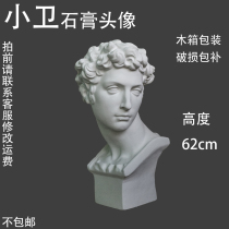 Xiaoweiwei plaster head portrait Juliano de Medici art plaster teaching aids figure plaster head figure decoration